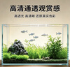 桌面鱼缸家用小型超清玻璃裸缸客厅办公室溪流缸生态造景金鱼缸 20*14*16cm 厚4mm 实拍图