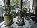 史丹利花盆家用树脂塑料盆栽加厚多肉月季阳台庭院加仑盆苹果绿高197mm 实拍图
