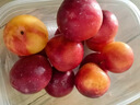 京鲜生 国产油桃 鲜桃子 3斤装 单果60g+ 生鲜水果 实拍图
