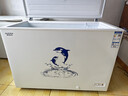澳柯玛（AUCMA）307升单温冷柜家用减霜大冰柜 冷藏柜冷冻柜转换卧式冰箱雪糕柜一级能效 BC/BD-307HNE 以旧换新 实拍图