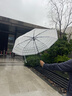 范爷家可爱三折雨伞透明伞米菲兔高颜值磨砂手动伞小清新印花折叠伞学生 实拍图