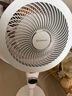 艾美特（AIRMATE）【小暴风PRO】空气循环扇家用大风力摇头电风扇卧室安静轻音小风扇桌面台式节能落地扇电扇 X231 实拍图