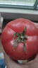 京鲜生山东安特莱斯粉番茄 净重4.5斤 单果120g+ 自然熟西红柿 源头直发 实拍图