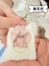 先锋（SINGFUN）宠物剃毛器猫咪专用剃脚毛器静音狗狗脚毛修剪器宠物店局部推子小猫猫爪脚底脚掌屁屁一体机电推剪 实拍图