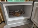 新飞冰箱小型租房用 一级能效冷 藏冷冻两用1-2人家用小冰箱 出租房双门电冰箱办公室两门 26年旗舰 86A一级能效【旗舰升级】银 实拍图