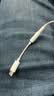 Apple/苹果 有线耳机转接头3.5毫米转USB-C/Typc-C接口 适用USB-C接口的iPhone/iPad/Mac 实拍图