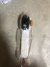 加液鞋刷多功能洗鞋刷子家用按压式出液软毛洗衣清洁刷不伤鞋神器 【1个装】珍珠白 实拍图