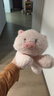 名创优品（MINISO）福莉丝猪系列趴姿公仔毛绒玩具玩偶抱枕娃娃生日礼物女 实拍图