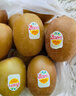 佳沛（zespri）新西兰 新果季 阳光金奇异果16粒礼盒经典果单果 88-103g  猕猴桃 实拍图