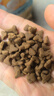好主人猫粮金装猫粮2.0试吃装 【赠品】金装鸡鱼味40g 实拍图