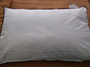水星家纺枕头枕芯酒店枕头护颈枕头芯家用单个纯棉抗菌可水洗中枕48x74cm 实拍图