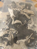 鲜窝窝 白背木耳100g 头茬毛木耳干货脆木耳白背黑木耳凉拌菜火锅食材 实拍图