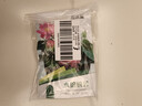 花沃里水培碗莲种子30粒*2 花卉种子荷花家庭盆栽鱼缸碗莲阳台办公庭院 实拍图