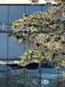 CROCS檀健次同款经典泡芙洞洞鞋|207521 黑色-001 36/37(220mm) 实拍图