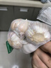 【百万单爆品】紫白皮蒜水果大蒜超市生鲜蔬菜调料即食蒜 【优选】净重0.9斤单果3.5-5cm 实拍图