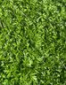 斑比儿童袜子男孩夏季网眼薄款春秋大童中筒棉袜BB23015 16-18码 实拍图