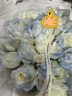 幽客玉品鲜花速递红玫瑰花束表白送女友老婆生日礼物全国同城配送 33朵碎冰蓝玫瑰花束 实拍图