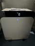 布鲁雅尔（Blueair）空气净化器除甲醛细菌流感病毒新房急入住家用卧室除烟味异味吸猫毛净化机CP7i 实拍图