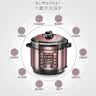 美的（Midea） 电压力锅 电高压锅 家用大容量多功能定时预约高压电饭煲电饭锅家用4-5-6人用5升6升高压快煮锅 尊贵款 行业爆款 5L 【双胆 玫瑰金】 实拍图