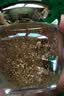 靓妃活性金平皱眼霜25g 补水抗皱滋润呵护眼周肌肤淡化皱纹 25g 实拍图