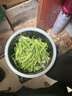 中鲜生 云南新鲜豌豆 甜豌豆新鲜蔬菜现摘豆角 净重4.5斤【好划算】鲜嫩饱满 实拍图