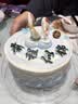元祖（GANSO）生日蛋糕同城配送 当日送达新鲜儿童鲜奶蛋糕动物奶油表白星座 福运锦鲤 8号（3-5人食用） 实拍图