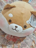 名创优品（MINISO）趣味阿柴-弹力超柔趴姿公仔毛绒玩偶玩具抱枕靠枕娃娃生日礼物女 实拍图