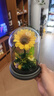 Para Ella向日葵永生花高级生日礼物女伴手礼一举夺魁金榜题名母亲节情人节 实拍图