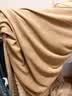 浪莎（LangSha）冬季兔兔绒被套单件180x200加厚牛奶珊瑚绒被罩单人绒棉被芯套女 兔兔绒-咖色【柔软舒适】BAT 150x200cm【被套单件】 实拍图