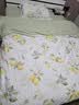 水星家纺四件套纯棉100%a类全棉透气床上印花床笠被套单双人1.5m床柠语 实拍图