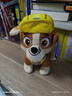 汪汪队立大功（PAW PATROL）毛绒玩具狗狗陪睡玩偶经典款小砾站姿公仔男女孩六一儿童节礼物 实拍图