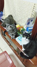 耐威克猫零食猫条 混合口味美毛补水 成猫幼猫湿粮猫咪猫零食66支 实拍图