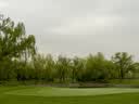 POLO GOLF 美国Pride高尔夫球tee美巡赛选手常用款球钉轮行塑料TEE 38mm-30支（白黄短TEE） 实拍图