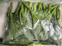 京鲜生（供港基地）芥兰苗250g(长度≤15cm) 实拍图