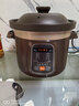 九阳（Joyoung）电炖锅电炖盅电砂锅炖汤盅煲汤锅多功能锅紫砂锅燕窝炖盅煮粥锅直炖4L大容量 可预约保温GD410 实拍图