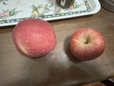 京鲜生烟台红富士苹果 净重900g 单果160-190g 生鲜水果 实拍图