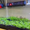 森森（SUNSUN）鱼缸加热棒自动恒温数显石英加温棒防爆水族箱加温器加热器 高端款 100瓦【离水断电更灵敏】数显石英加热棒 实拍图