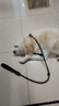 多尼斯（DOGNESS）狗狗牵引绳项圈P链拴遛狗绳中大型犬柯基拉布拉多柴犬萨摩耶 灰L 实拍图