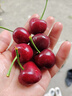 京鲜生 大连美早樱桃 车厘子 3J级巨无霸 2斤礼盒装 单果12g+ 生鲜水果 实拍图