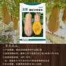 北蔬 南瓜种子苗甜糯板栗味老品种杂交蔬菜种籽 糯妃20老蜜本种子20粒 实拍图