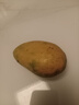 京喜加海南鲜芒果小台水果芒果新鲜上市 带箱1斤单果70g 实拍图