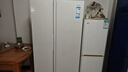 海尔（Haier）冰箱出品统帅538L对开门冰箱家用大容量一级能效风冷无霜LSS-560WL9以旧换新国家补贴15% 实拍图