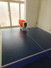 庞伯特（pongbot）NOVA 乒乓球发球机 家用台面便携式智能乒乓球训练器 发球器 NOVA智能发球机 实拍图