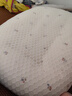 志高（CHIGO）烘干机家用干衣机婴儿小型烘衣机衣服烘干机家用双层定时30斤大容量干衣机暖风干衣柜 【1500W大功率】 490L 移动脚轮款 实拍图