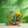帕达诺婴儿紫草膏蚊子蚊虫解痒膏宝宝专用红屁股跳蚤咬舒缓膏 【经典款】专利紫草舒缓棒6g*2支 实拍图