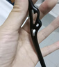 追师黑檀木发簪仙羽古典高级感挽发簪子学生新中式国风女生日礼物 实拍图