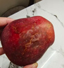 京鲜生 甘肃天水花牛苹果 又大又红 净重10斤 单果240g以上 生鲜水果 实拍图