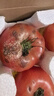 京鲜生 山东普罗旺斯番茄 净重4.5斤 单果125g+ 沙瓤西红柿 源头直发 实拍图