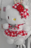 Hello Kitty三丽鸥毛绒玩具布娃娃玩偶钥匙扣生日礼物礼品女生凯蒂猫书包挂件 实拍图