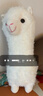 威尔通（WELTSTON）毛绒玩具小羊驼公仔玩偶靠垫抱枕摆件布娃娃抱睡送女朋友生日礼物 实拍图